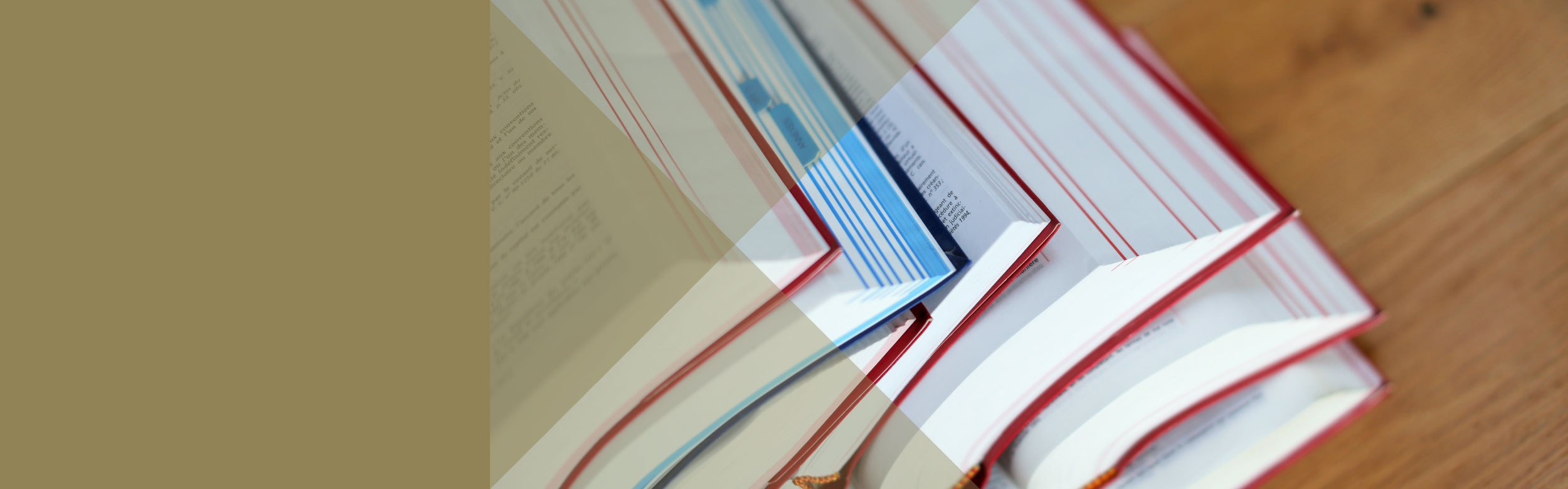 Fachanwalt Familienrecht Neubrandenburg