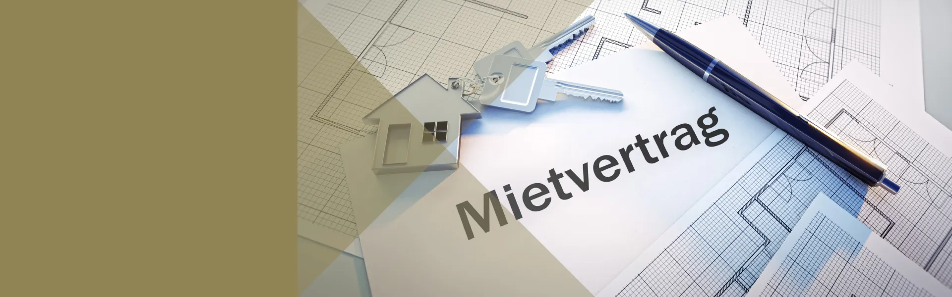 Rechtsanwalt Arbeitsrecht Neubrandenburg